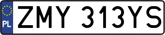 ZMY313YS