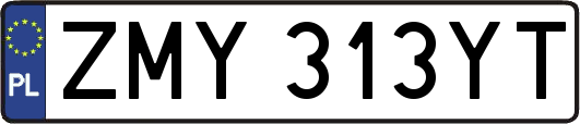 ZMY313YT