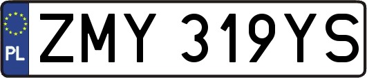 ZMY319YS