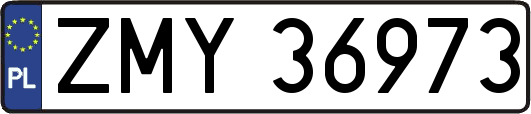 ZMY36973