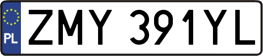 ZMY391YL