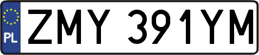 ZMY391YM