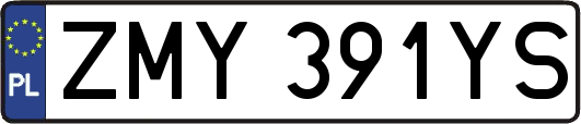 ZMY391YS