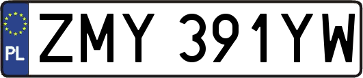 ZMY391YW