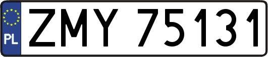 ZMY75131
