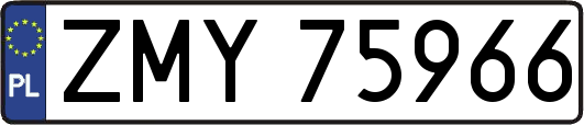 ZMY75966