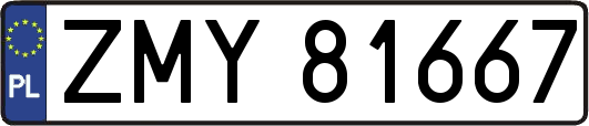 ZMY81667