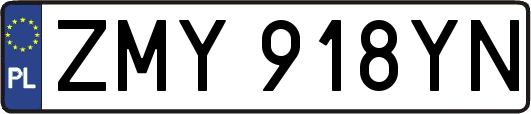 ZMY918YN