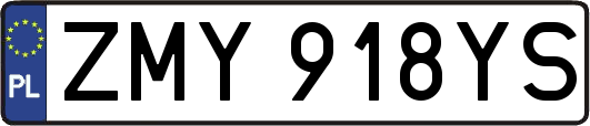 ZMY918YS