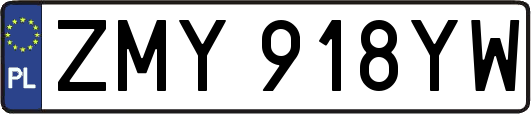 ZMY918YW