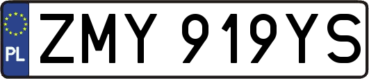 ZMY919YS