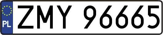 ZMY96665