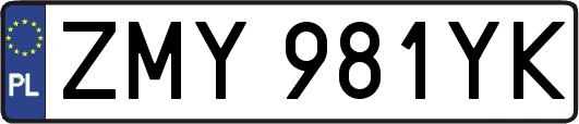 ZMY981YK