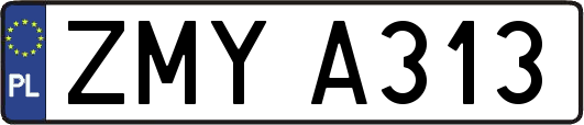 ZMYA313