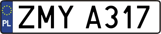ZMYA317