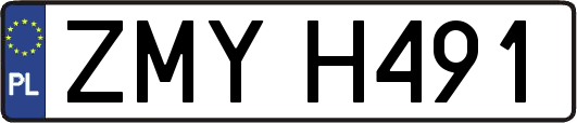 ZMYH491
