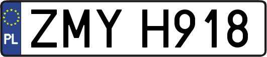 ZMYH918
