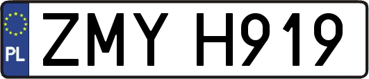 ZMYH919