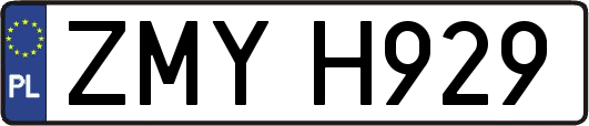 ZMYH929
