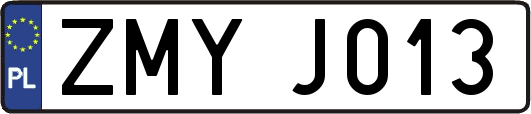 ZMYJ013