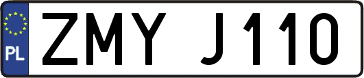 ZMYJ110
