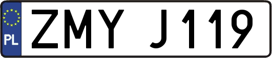 ZMYJ119