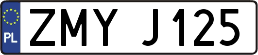ZMYJ125