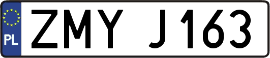 ZMYJ163
