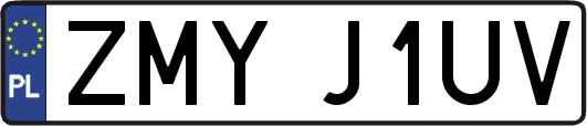 ZMYJ1UV