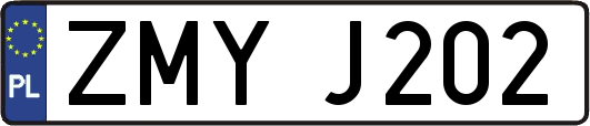 ZMYJ202