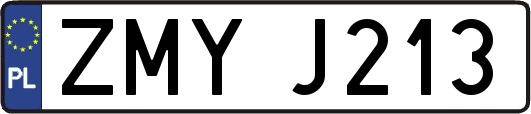 ZMYJ213