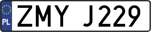 ZMYJ229