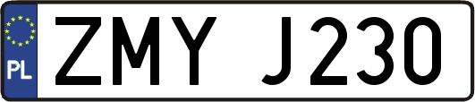 ZMYJ230