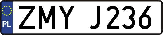 ZMYJ236