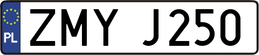 ZMYJ250