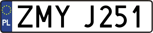 ZMYJ251