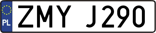 ZMYJ290