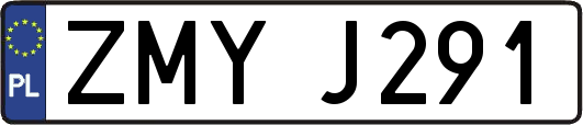 ZMYJ291
