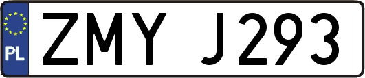 ZMYJ293