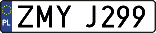 ZMYJ299