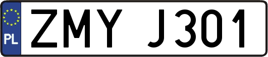 ZMYJ301