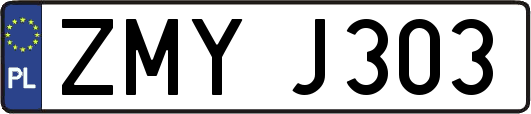 ZMYJ303