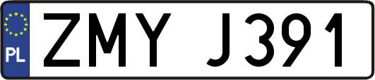 ZMYJ391