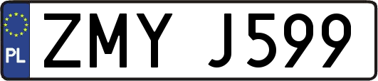 ZMYJ599