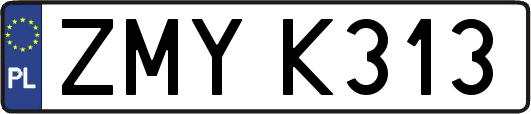 ZMYK313
