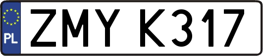 ZMYK317