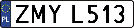 ZMYL513