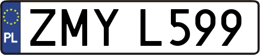 ZMYL599