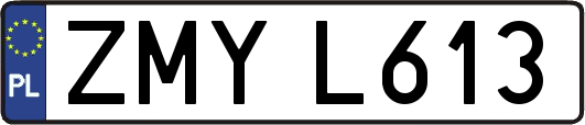 ZMYL613