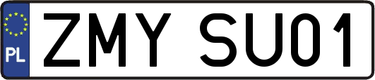 ZMYSU01